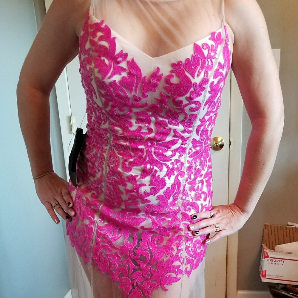 Nwt Bebe Mesh & Sequin Embroidered Dress Size 8